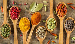 Food Ingredients
