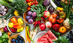 Food Products